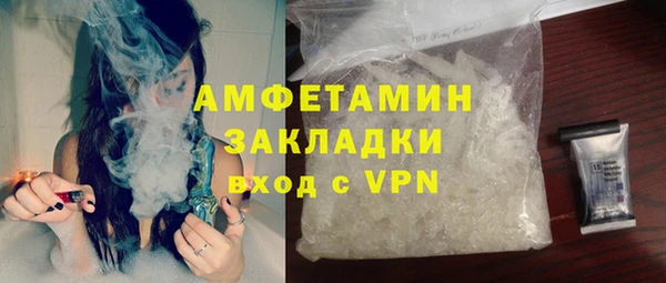 хмурый Верея