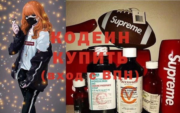 хмурый Верея