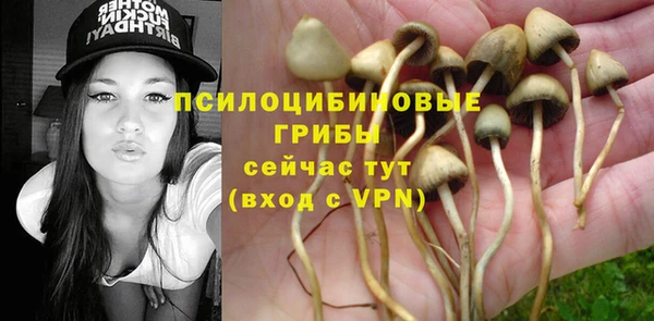 хмурый Верея