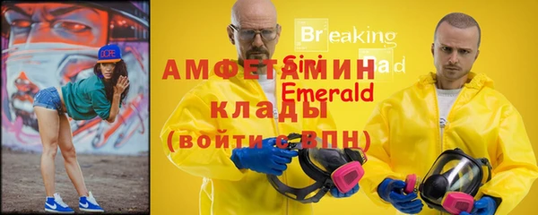 хмурый Верея