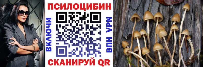 mega маркетплейс  Карачаевск  Галлюциногенные грибы прущие грибы 