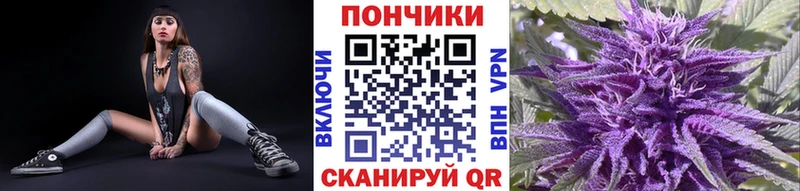 даркнет сайт  Карачаевск  Канабис VHQ 